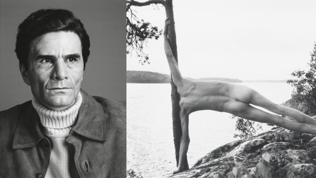 Image accompanying source report: Espoo's EMMA turns estrangement into a 20-year collection celebration